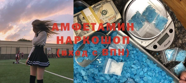 мет Алексин