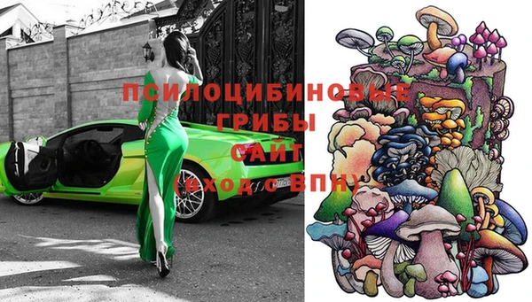 мет Алексин