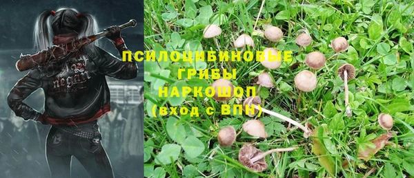 mix Алексеевка